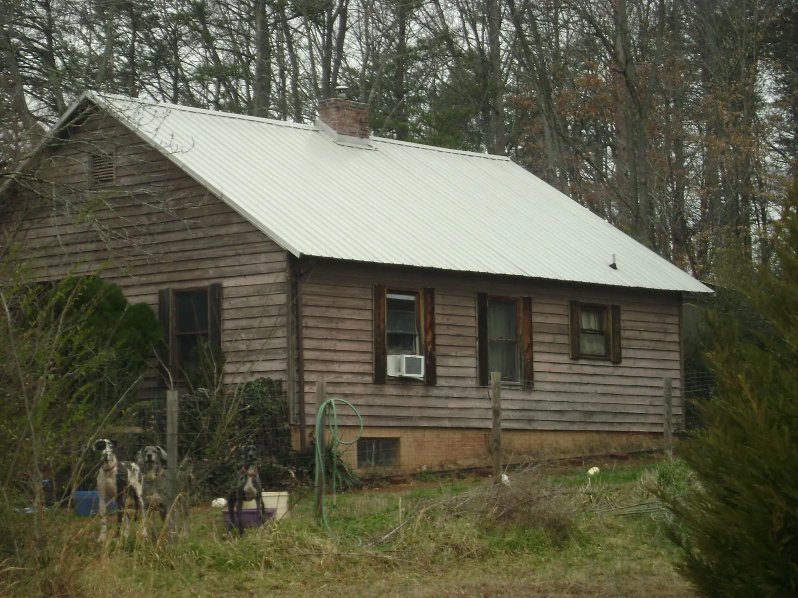 White metal roof on an old wood sided farmhouse, from a Asphalt Shingle Roof Repair job in Olney Springs